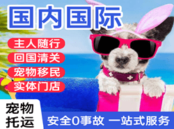 临沂启阳航空货运国际宠物托运 【国